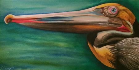 Ben Rusher - brown pelican